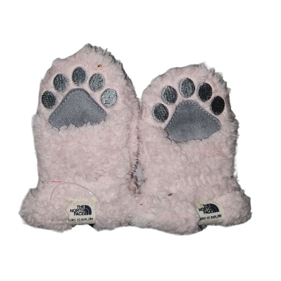 The North Face Other - Kids The North Face Baby Bear Suave Oso Mitt Pink High Pile Fleece Mittens XS